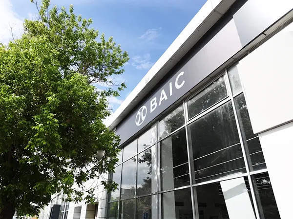 Baic Независимость